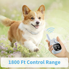 Rechargeable Remote Dog Training Collar