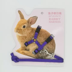 Adjustable Rabbit Harness & Lead