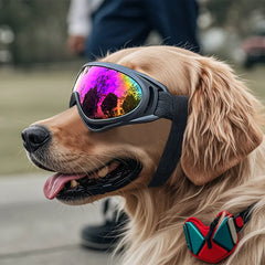 Adjustable Dog Goggles, image 5