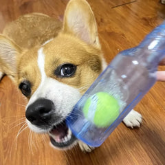 Bottle & Ball Dog Toy, image 4