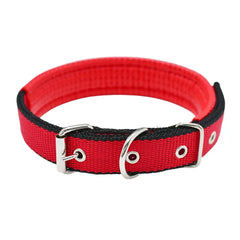 Adjustable Nylon Dog Collar
