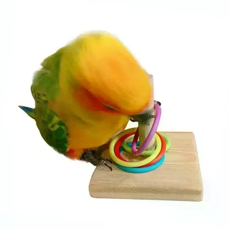 Bird Training Ring Toy