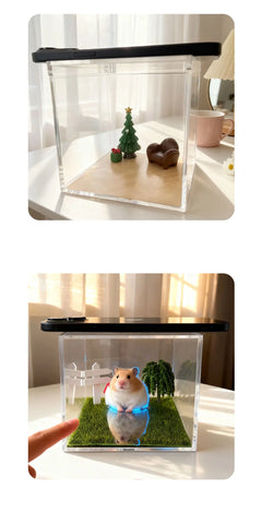 Holographic Pet Display Box, image 15