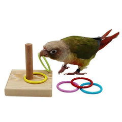 Bird Training Ring Toy
