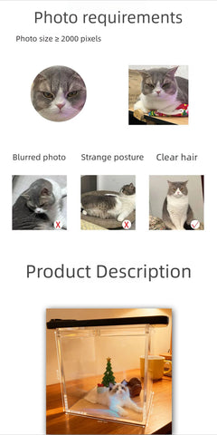 Holographic Pet Display Box, image 11