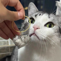 Pet Hair Keepsake Pendant