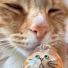 Pet Hair Keepsake Pendant