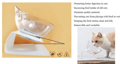 Elevated Tilted Cat Bowl
