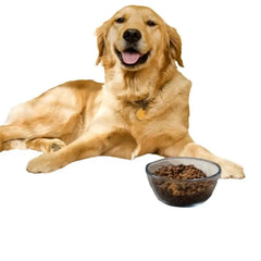 Quick-Dry Feeding Mat, image 10