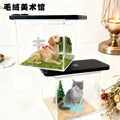 Holographic Pet Display Box, image 12