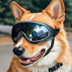 Adjustable Dog Goggles – Transparent lenses, image 4