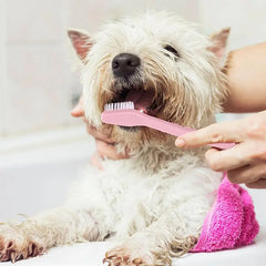 Pet Dental Care Toothbrush