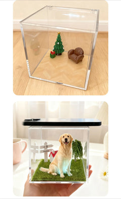 Holographic Pet Display Box, image 14