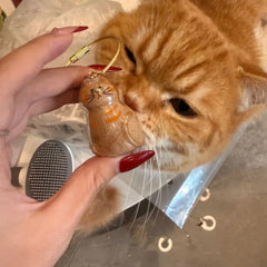 Pet Hair Keepsake Pendant